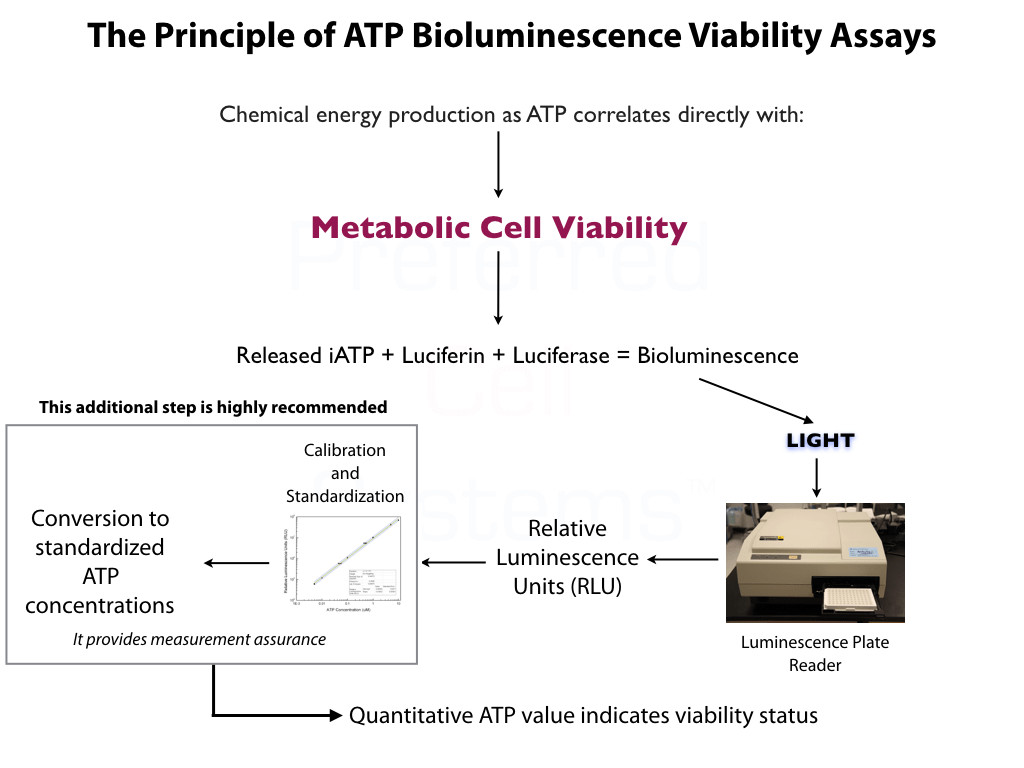 Preferred Cell Systems LIVEGlo